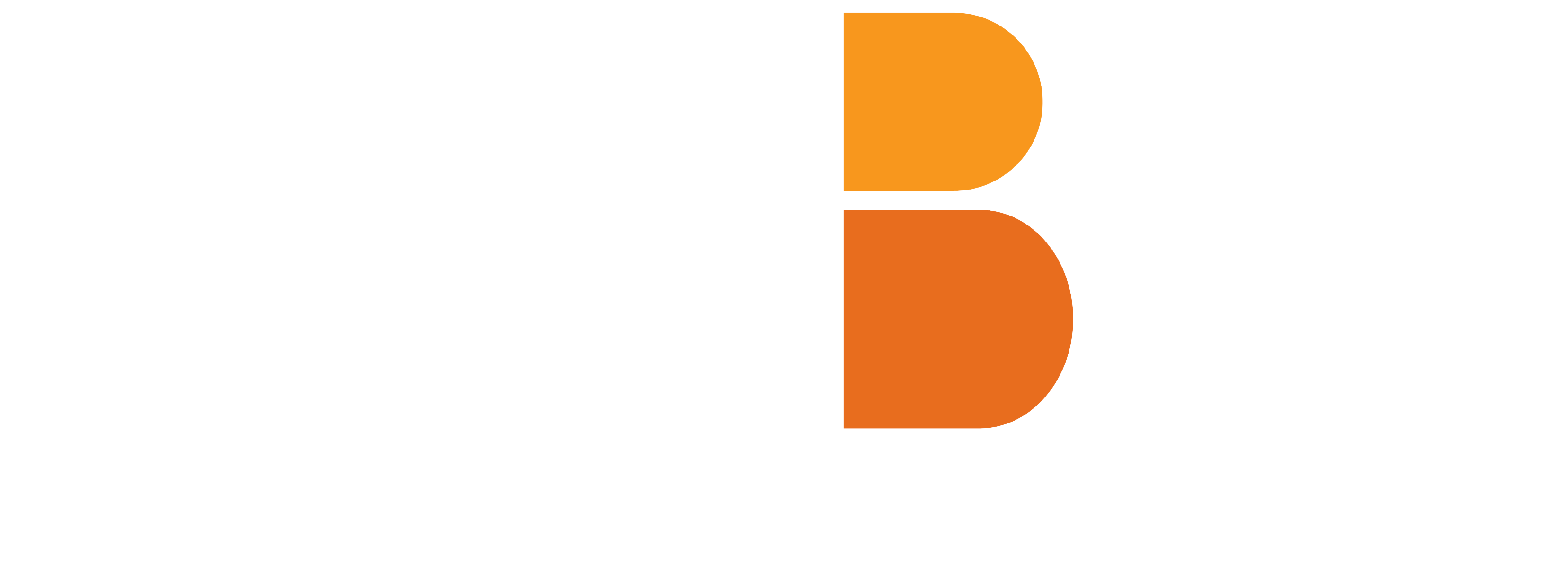 ELITEBCO LLC logo