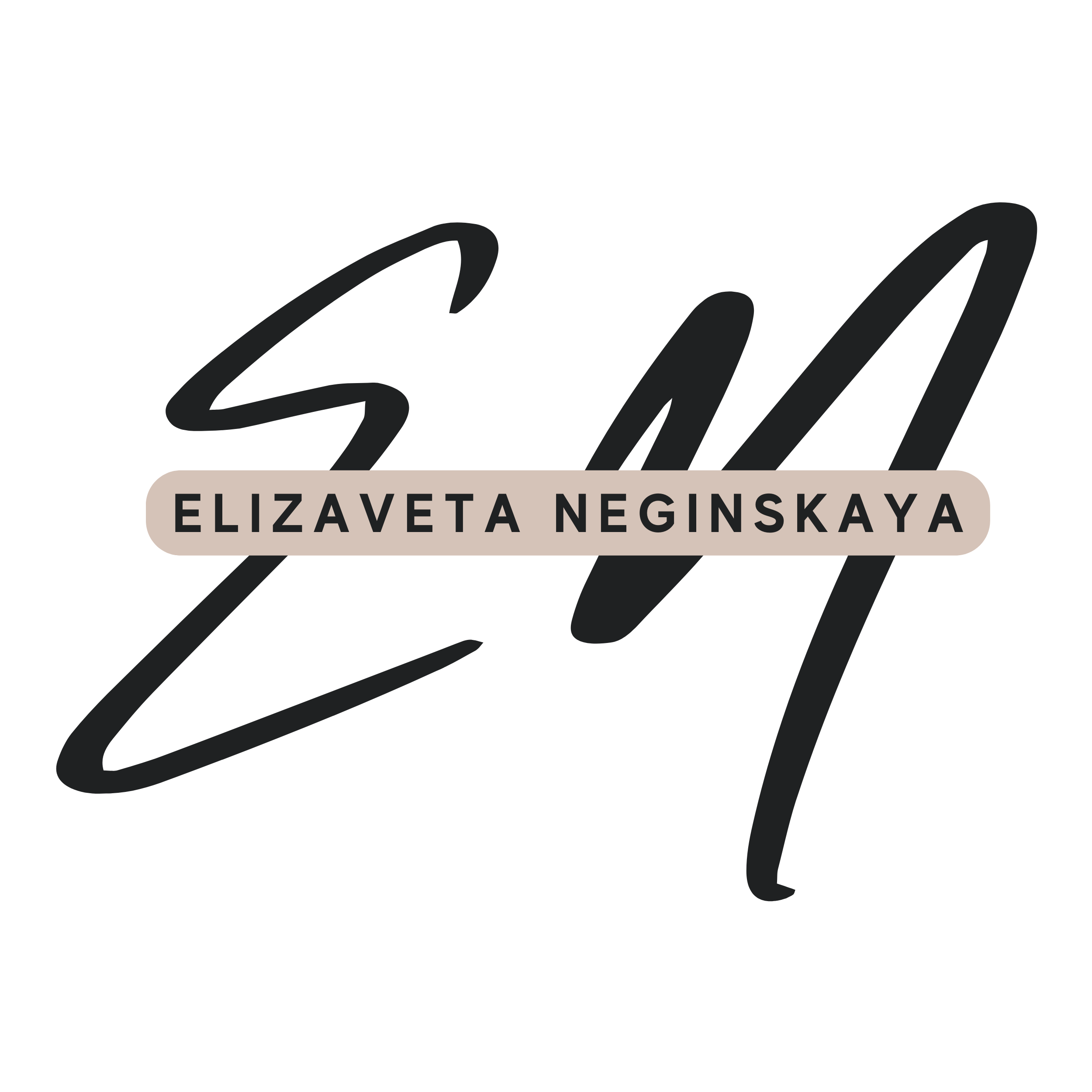 ELIZAVETA NEGINSKAYA LLC logo