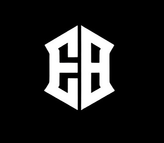 ELUX BUILDS LLC logo