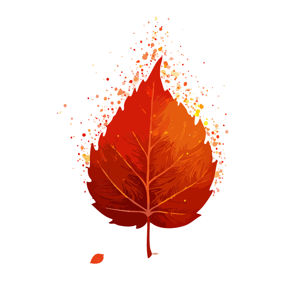 EMBER BLOOM, LLC logo