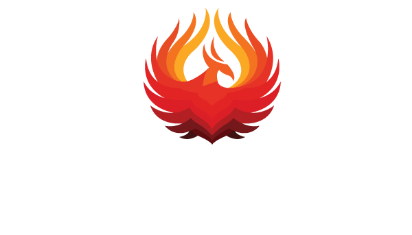 EMERCIVE MARKETING LLC logo