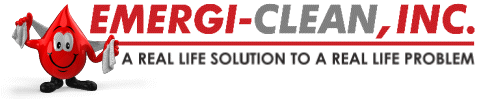 EMERGI-CLEAN, INC. logo