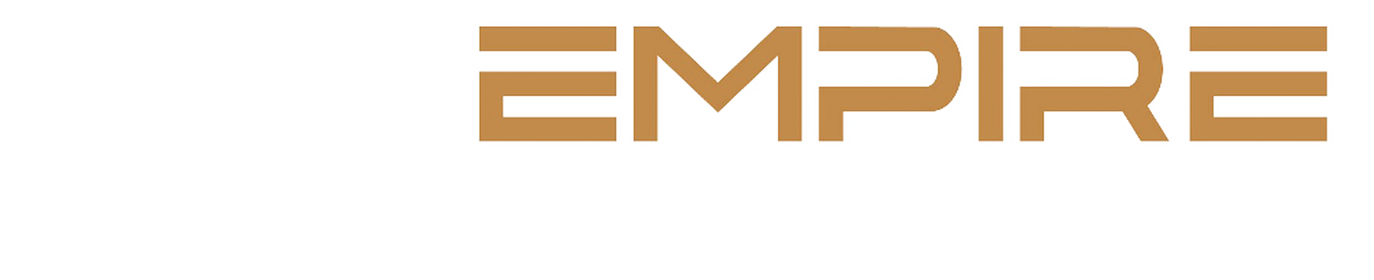 EMPIRE AVIATION USA logo