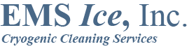 EMS ICE logo