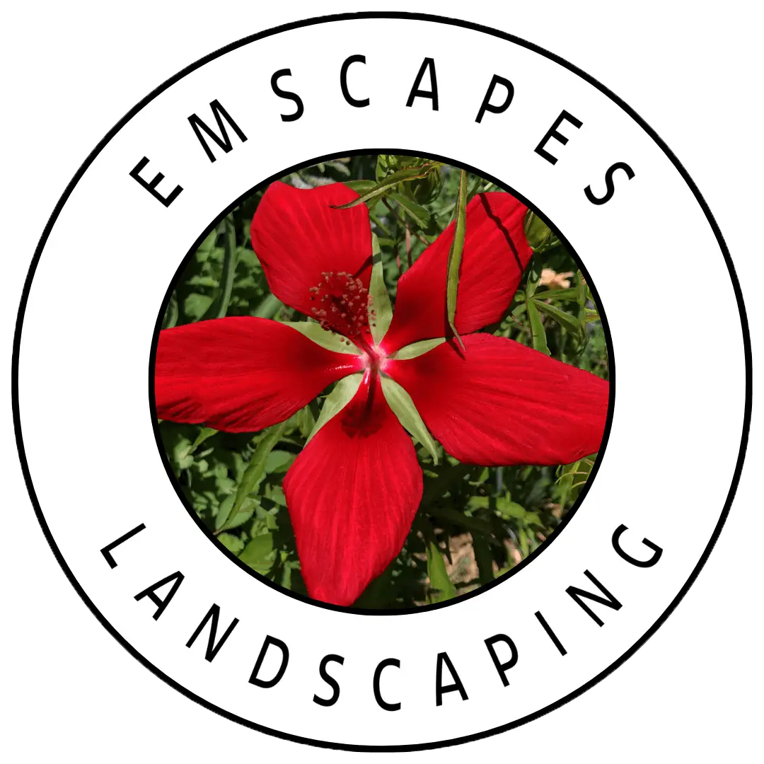 EMSCAPES logo