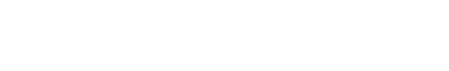 ENCORE VISION, INC. logo