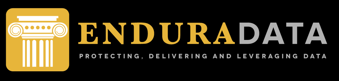ENDURADATA INC logo