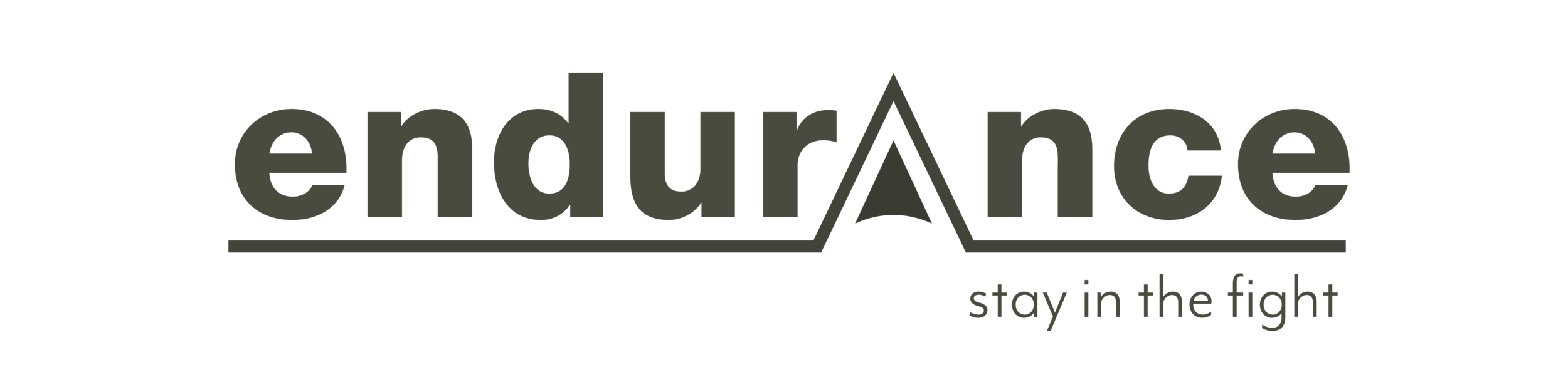 ENDURANCE GROUP logo
