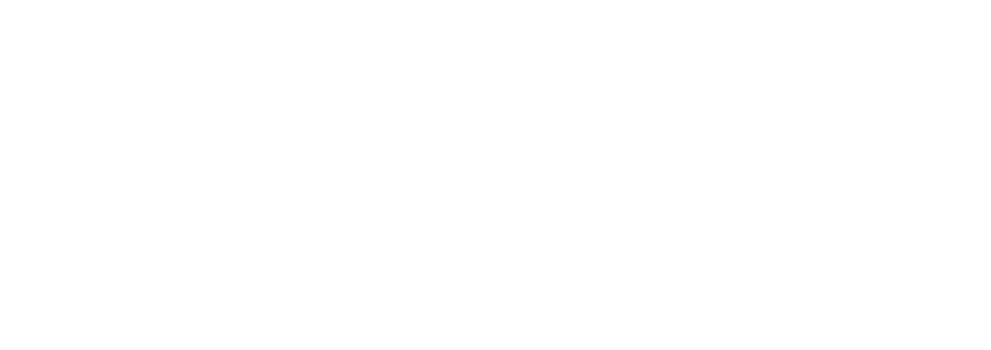 ENDURANCE HOLDINGS LLC logo
