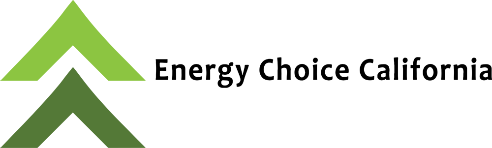 ENERGY CHOICE CALIFORNIA INC logo