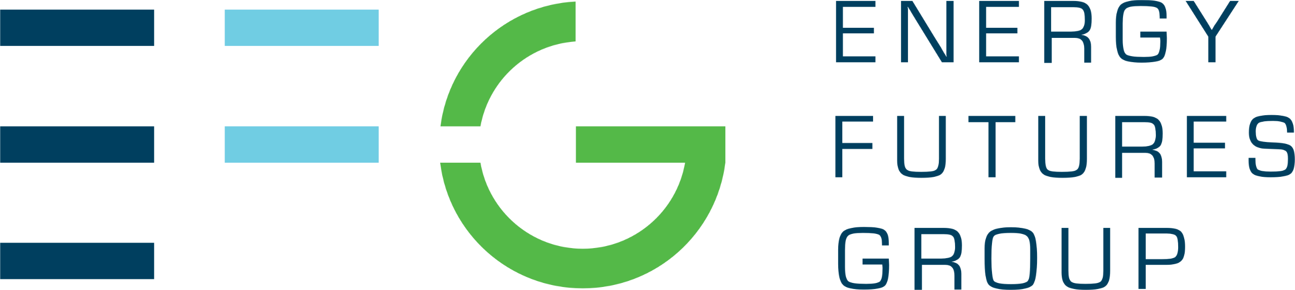 ENERGY FUTURES GROUP INC logo