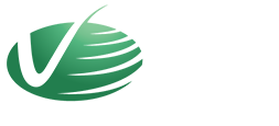 ENGINEERING SERVICES OF VERMONT, LLC logo