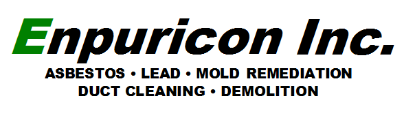 ENPURICON INC logo