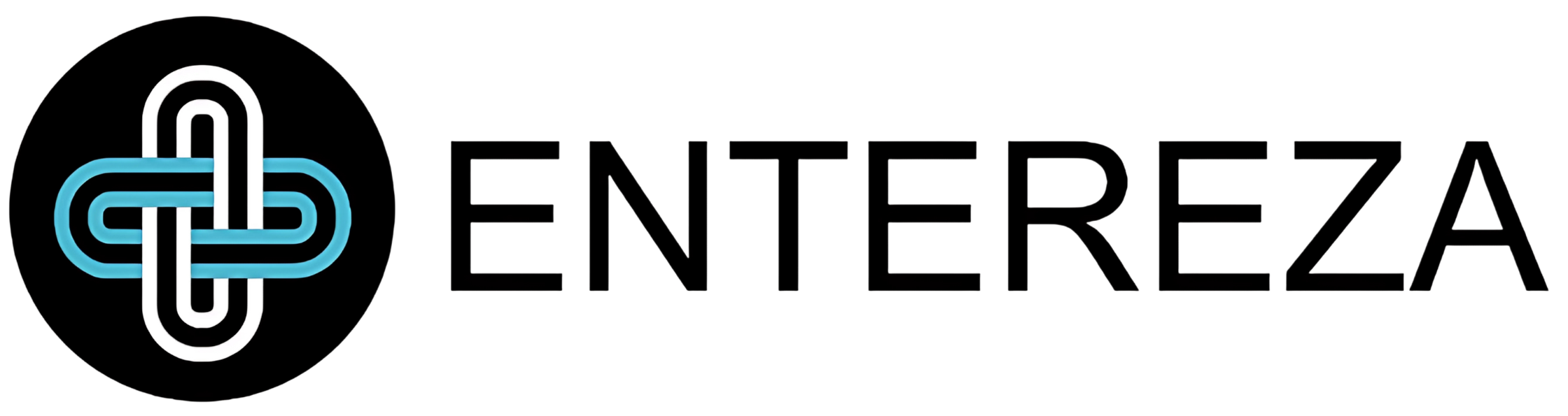 ENTEREZA INC logo