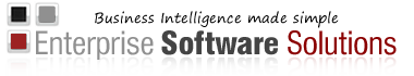 ENTERPRISE SOFTWARE SOLUTIONS LLC logo