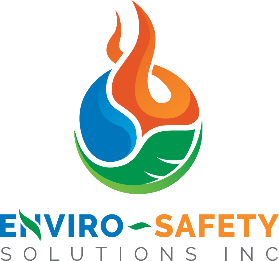 ENVIRO-SAFETY SOLUTIONS INC logo