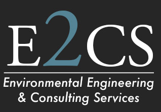 ENVIRONMENTAL ENGINEEING & CONSULTING SERVICES logo