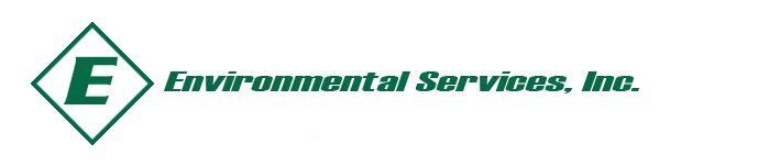 ENVIRONMENTAL SERVICES INC logo