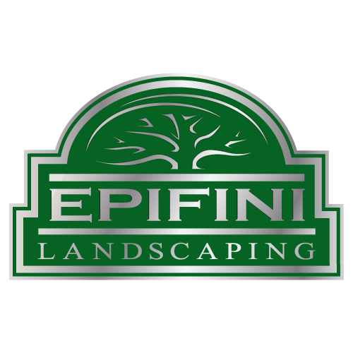 EPIFINI LANDSCAPING INC logo