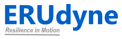 ERUDYNE INC logo