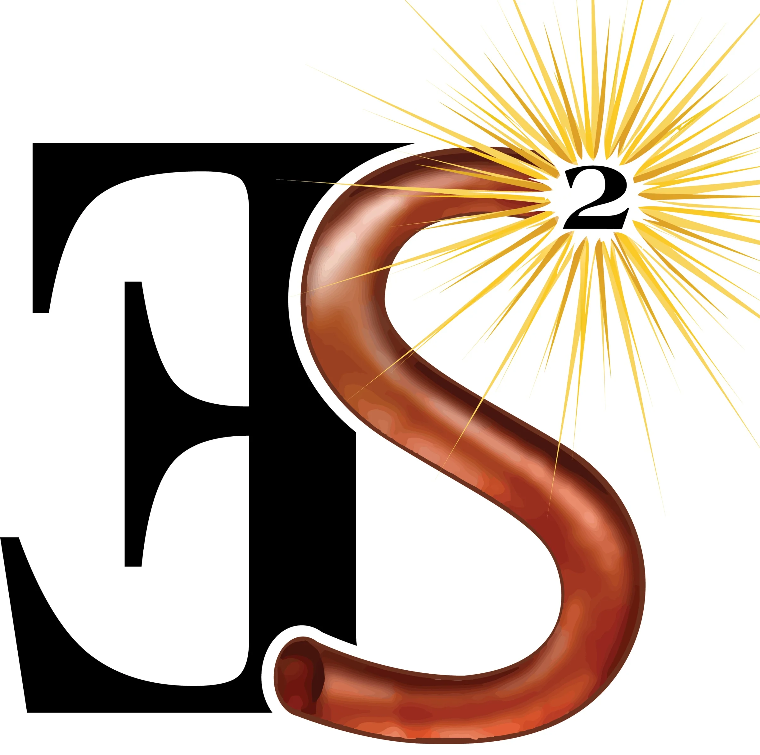 ES SQUARED INC logo