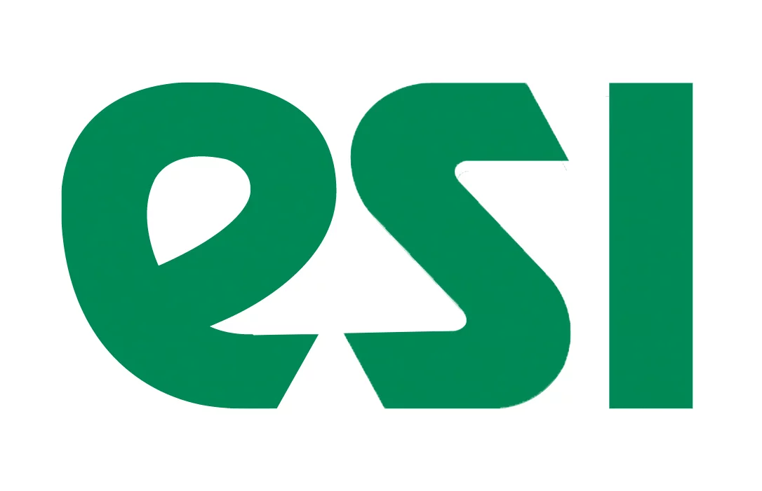 ESI TECHNOLOGY LIMITED logo