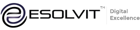 ESOLVIT INC logo
