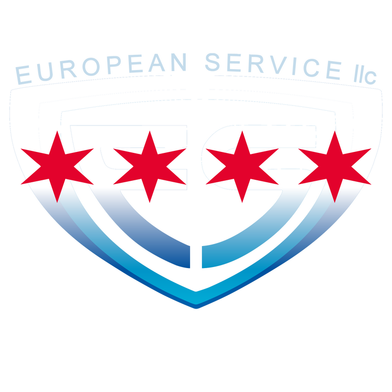 EUROPEAN SERVICE LLC logo