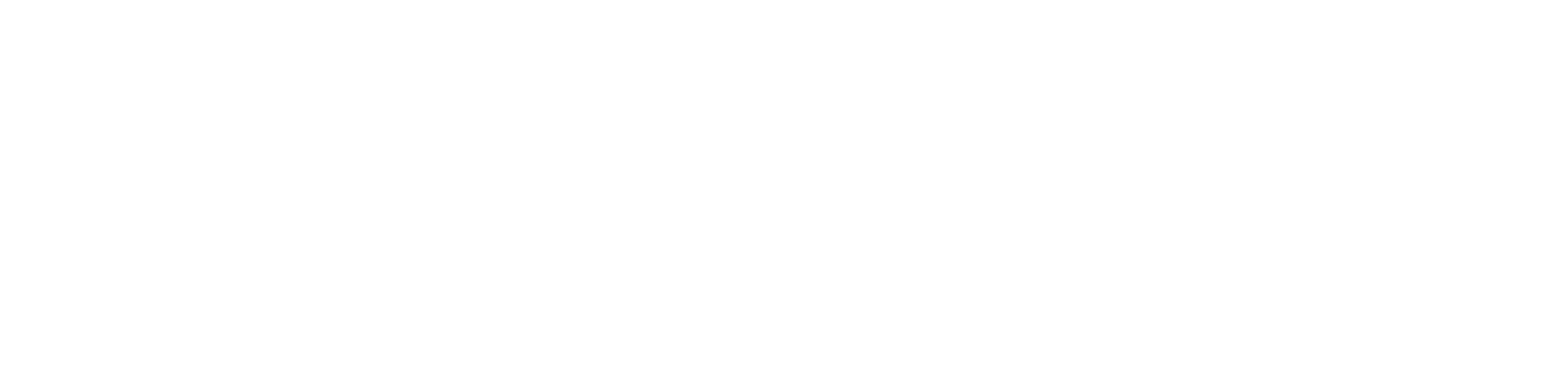 EVERY VOICE, INC logo
