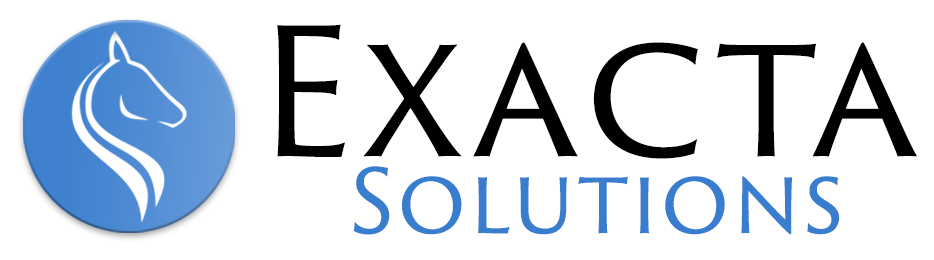 EXACTA SOLUTIONS LLC logo