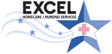 EXCEL NURSING SERVICES INC logo