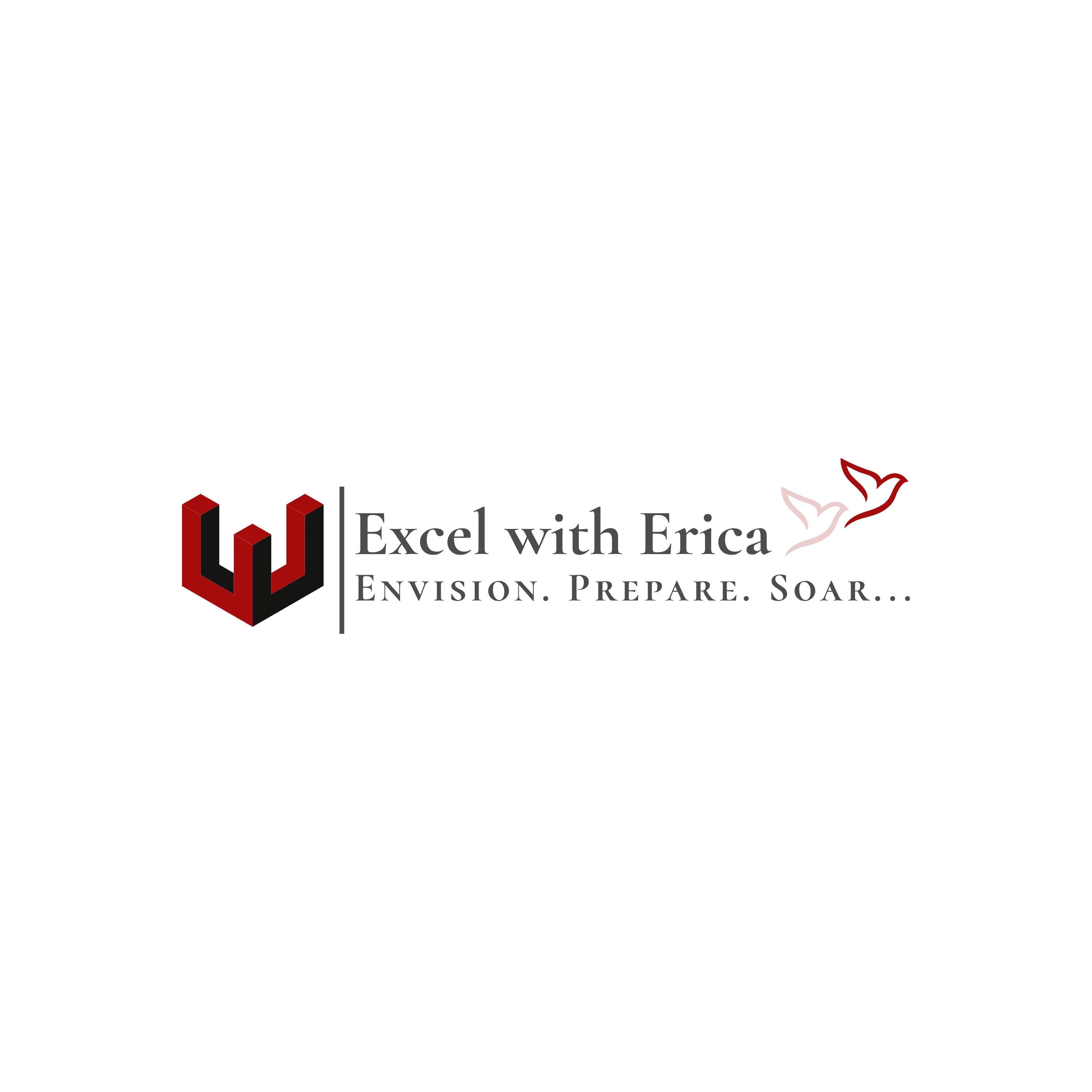 EXCEL WITH ERICA LLC logo