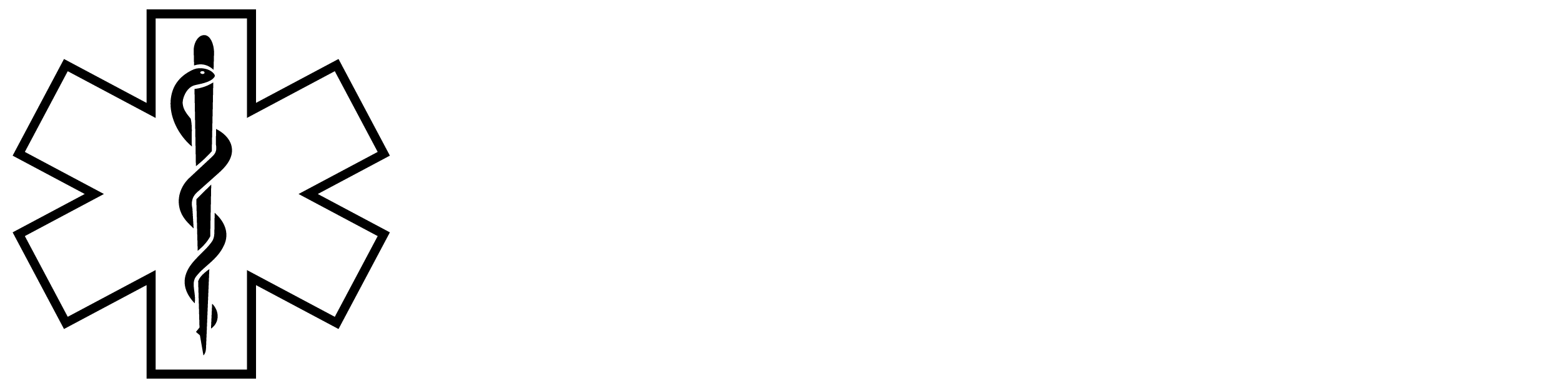 EXCELSIOR AMBULANCE SERVICE INC logo