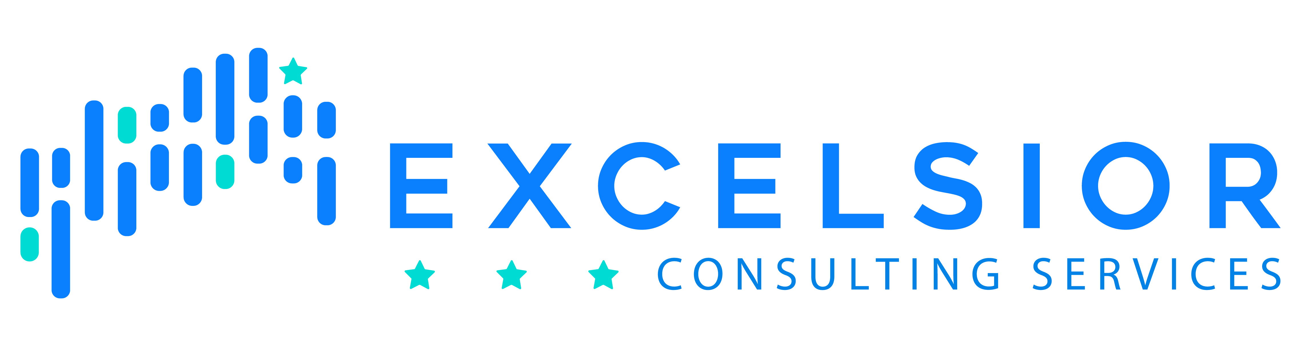 EXCELSIOR CONSULTING SERVICES, LLC logo