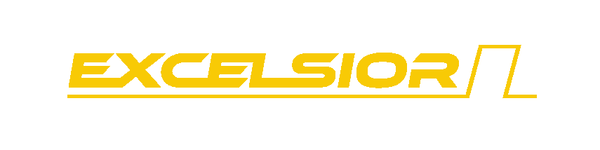 EXCELSIOR WIRELESS LIMITED LIABILITY CO logo