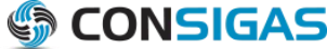 EXCLUSIVE NETWORKS USA INC logo