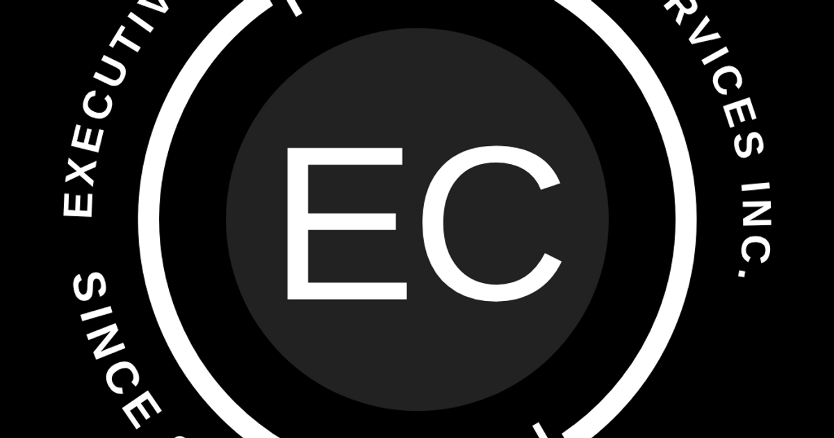 EXECUTIVE FIX CONSULTING SERVICES INC logo