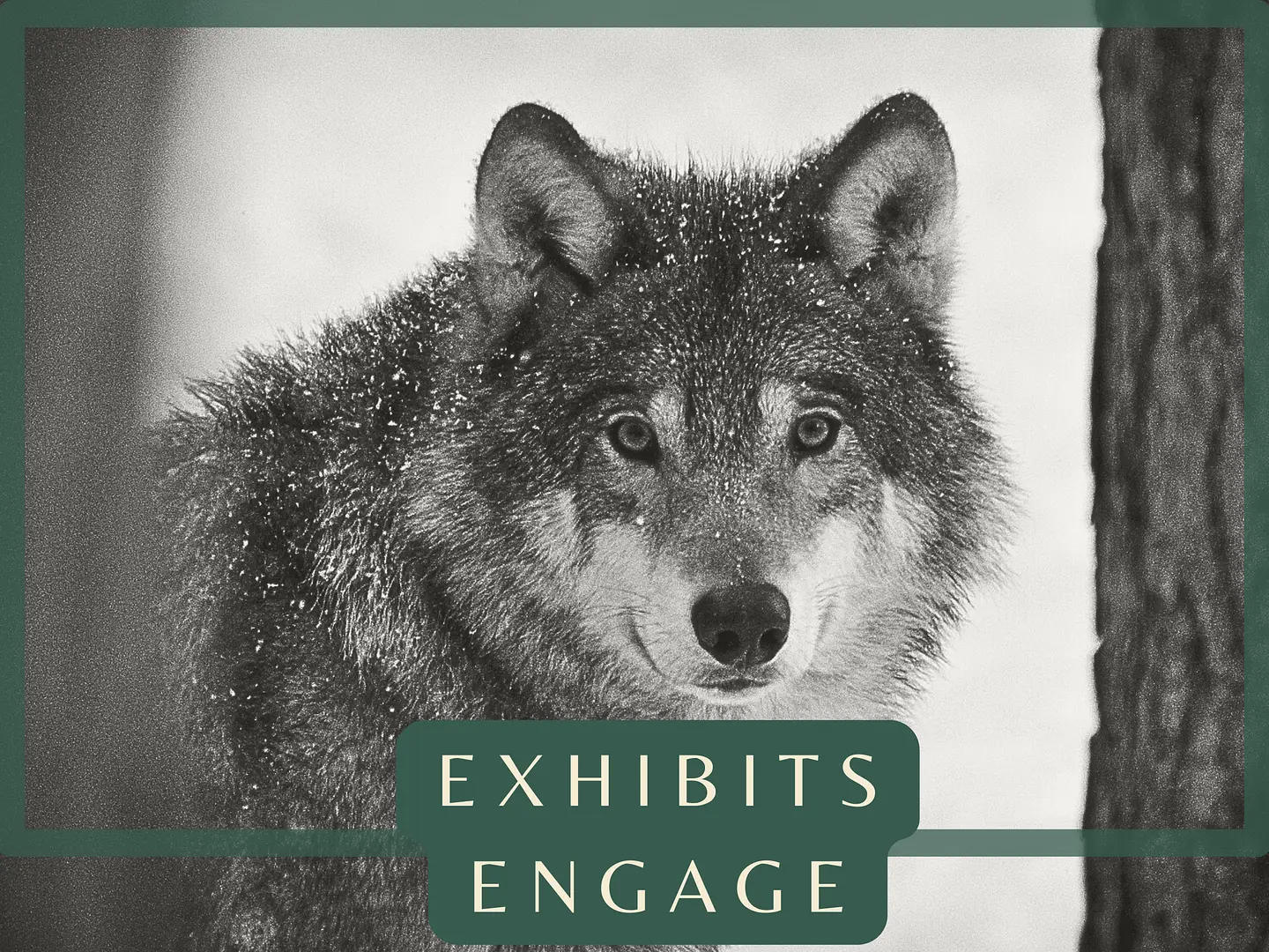 EXHIBITS ENGAGE logo