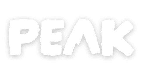 EXIT GAMES INC logo