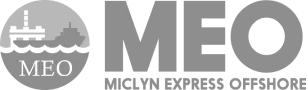 EXMILE SOLUTIONS LIMITED logo