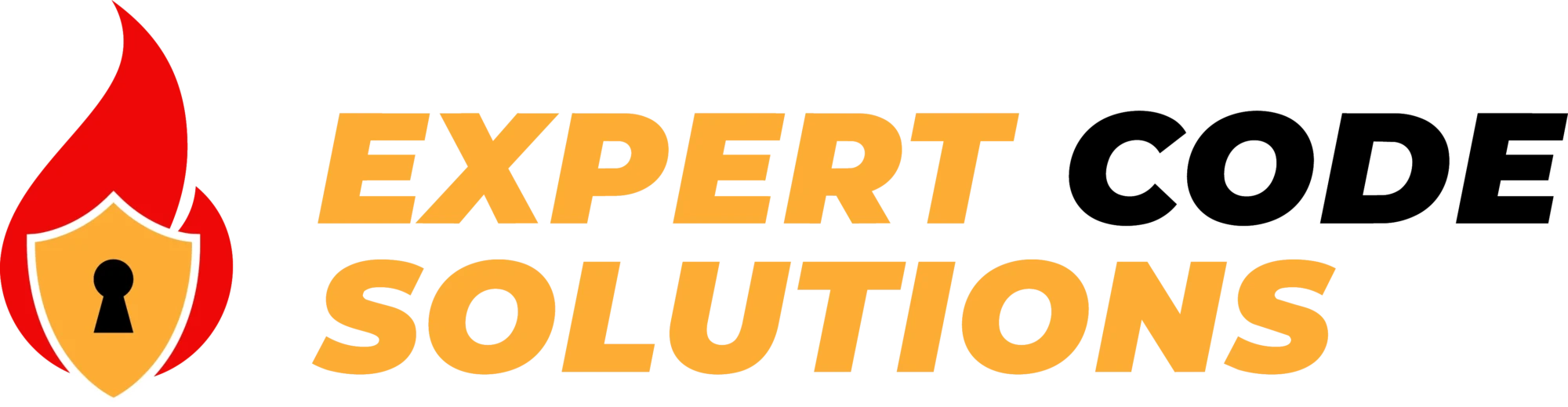 EXPERT CODE SOLUTIONS LIMITED LIABILITY COMPANY logo