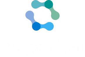 EXPERT SYSTEM ENTERPRISE CORP logo