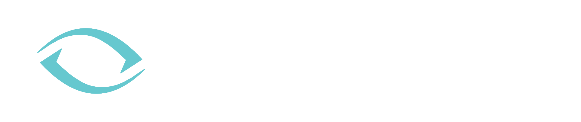 EYEVIATION LTD logo