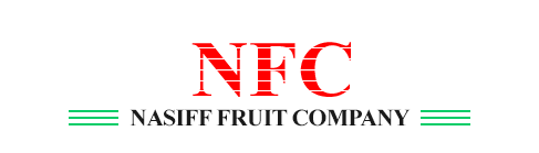 F NASIFF JR & CO INC logo