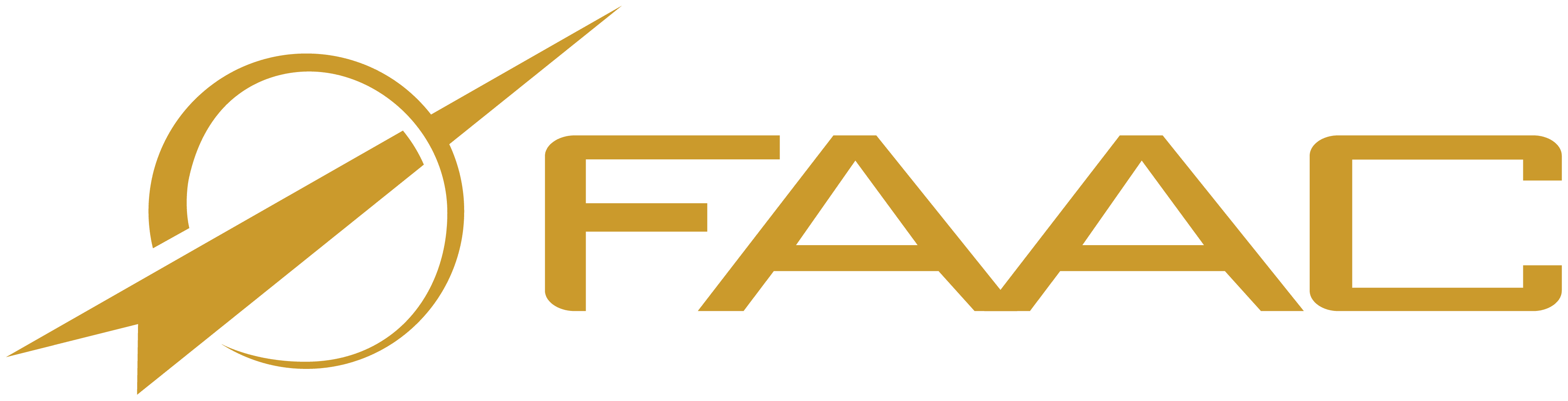 FAAC INC logo