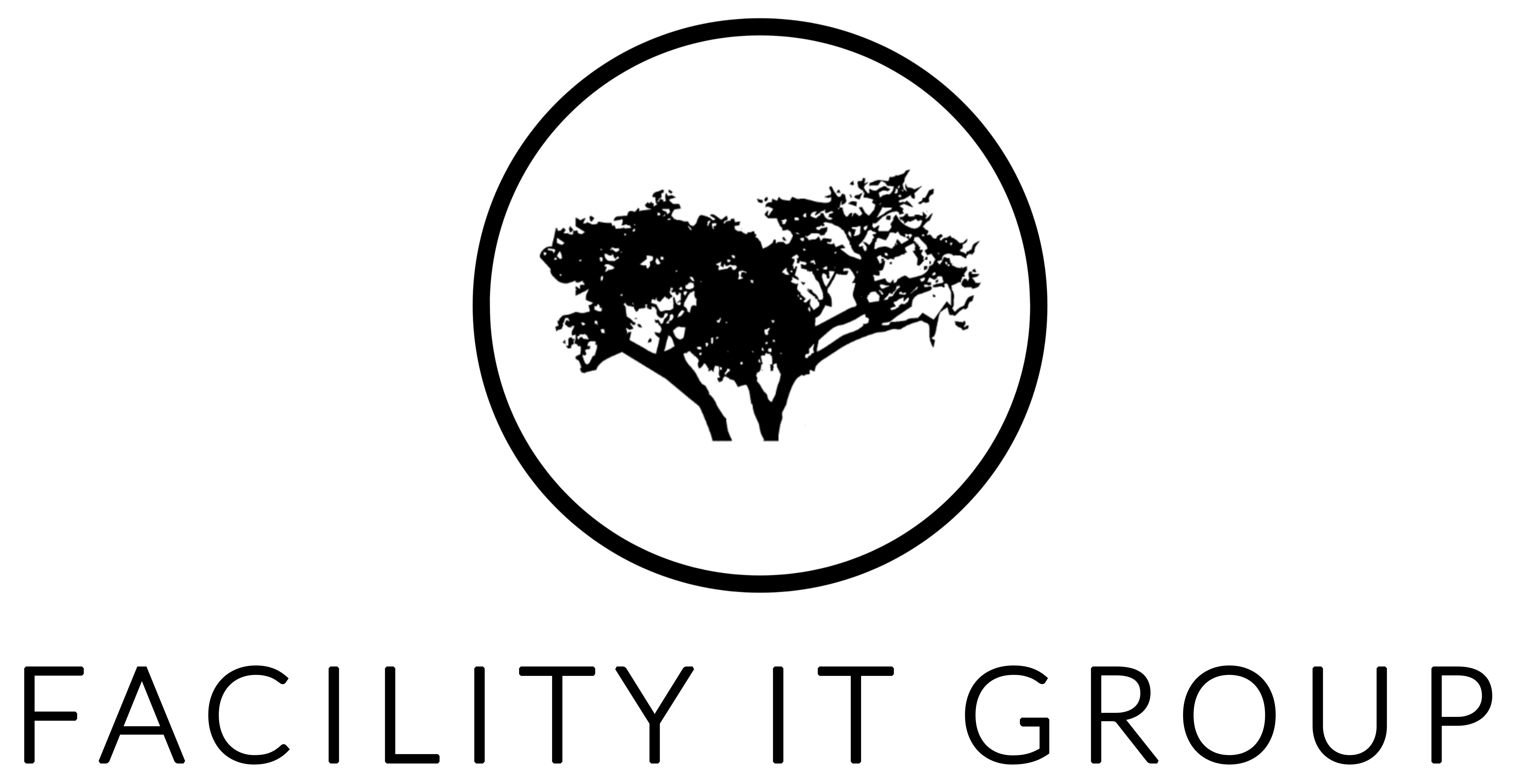 FACILITY IT GROUP, INC logo