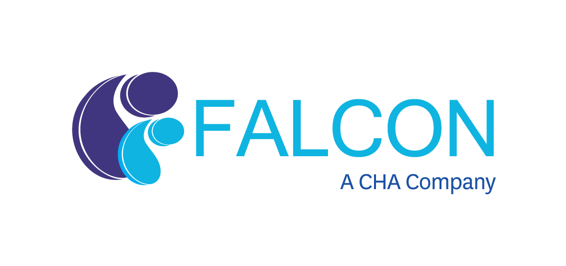 FALCON ENGINEERING SERVICES INC logo