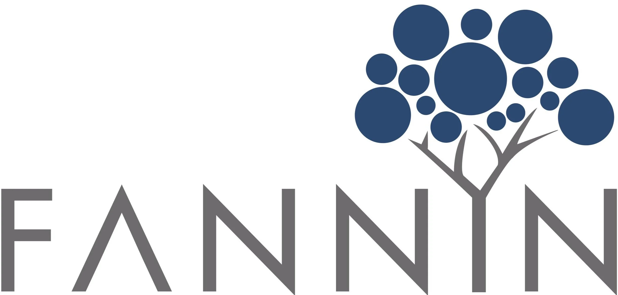 FANNIN PARTNERS LLC logo