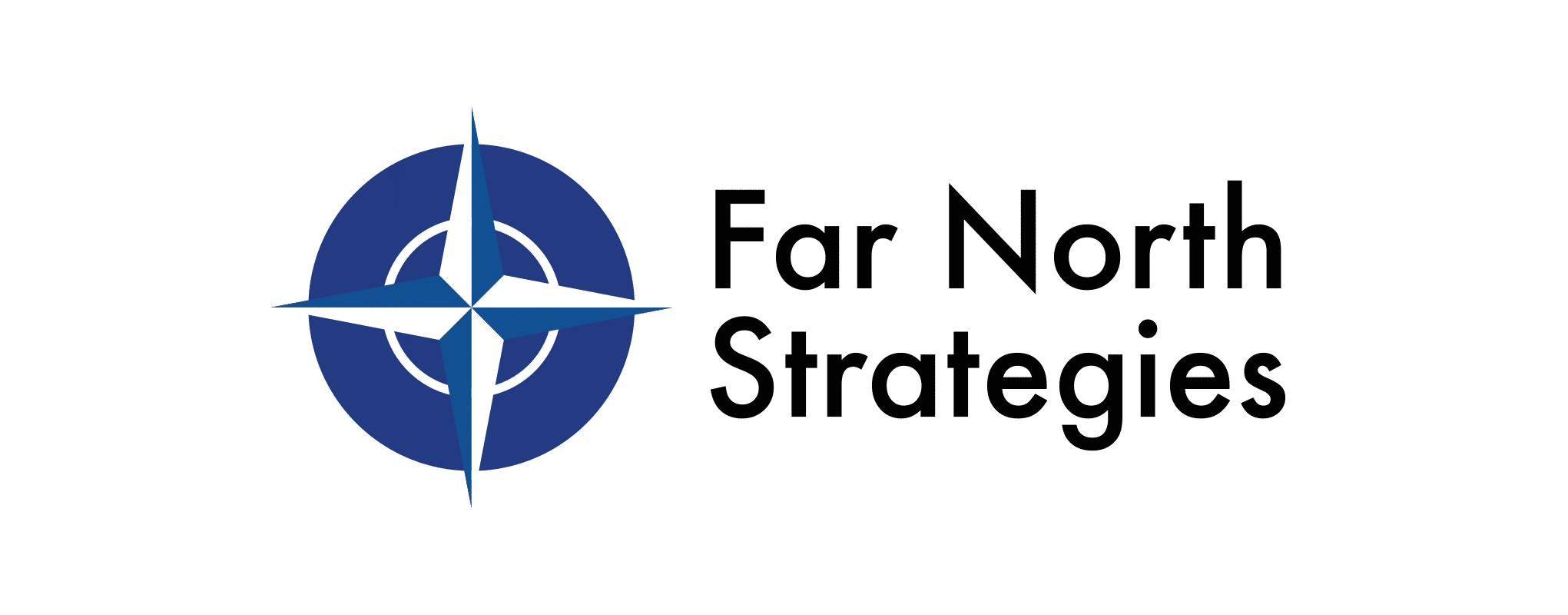 FAR NORTH STRATEGIES LLC logo
