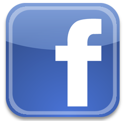 FARMINGTON AUTO AUCTION INC logo